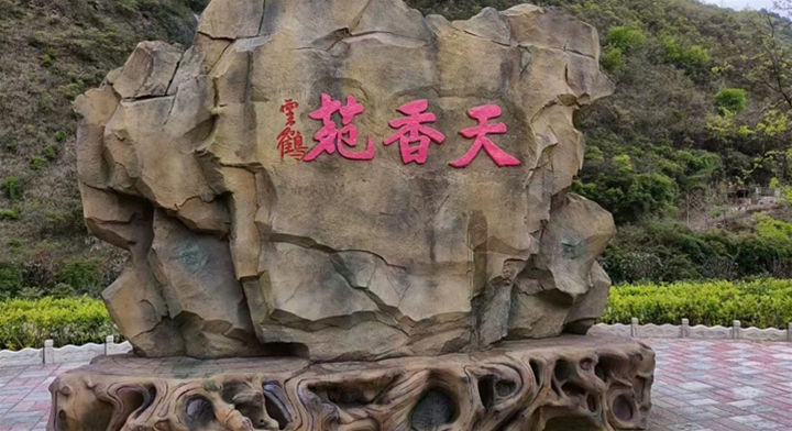 假山假树